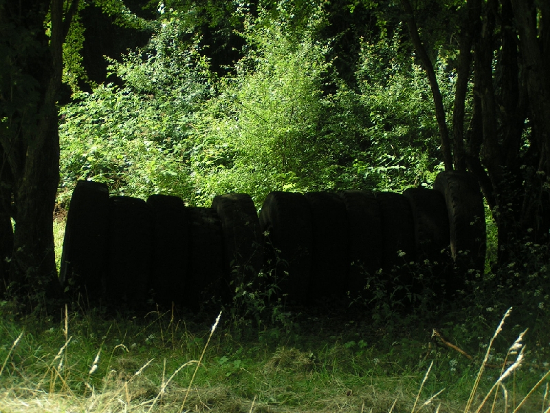 DIVERS 2009 629.jpg